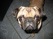 Berti_und_Emma_035_detail